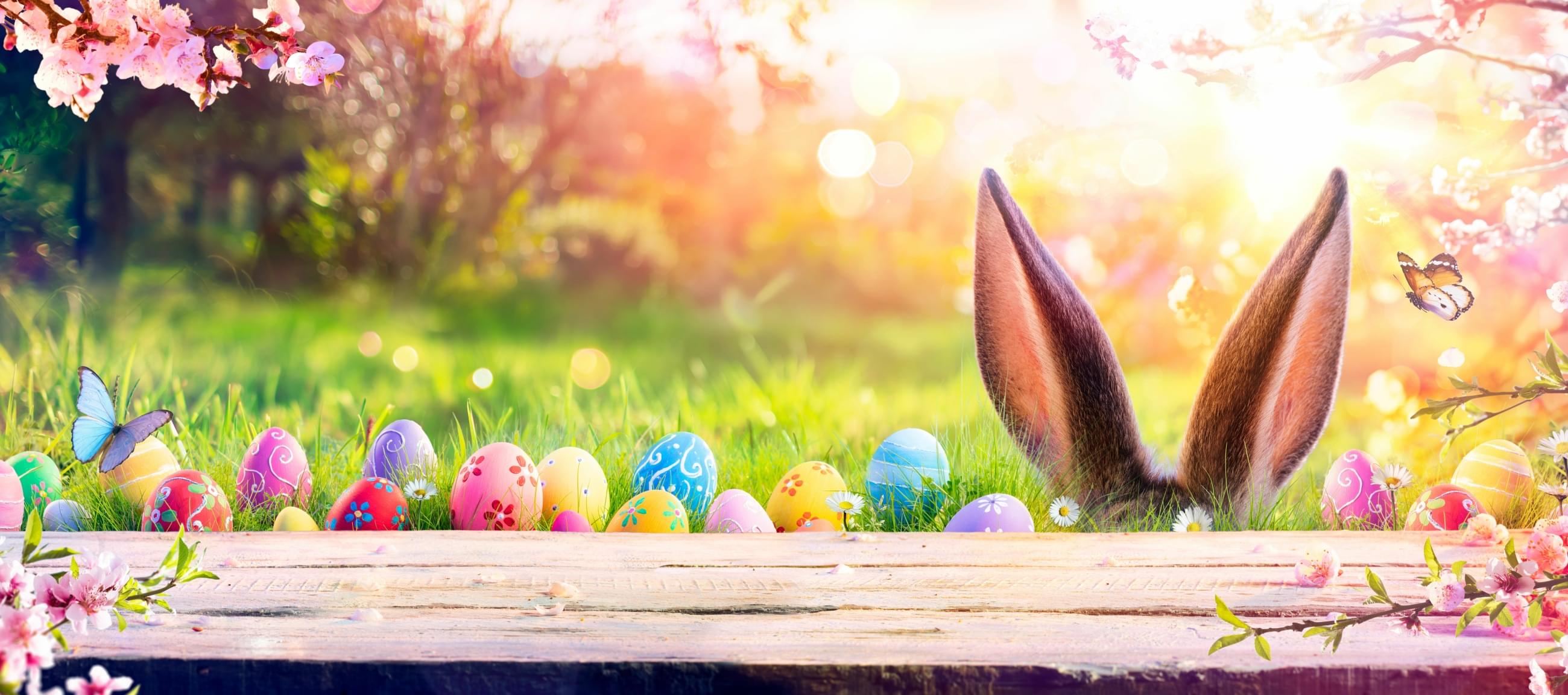 číhající velikonoční zajíc, trám, tráva, velikonoční vejce, kvetoucí keř